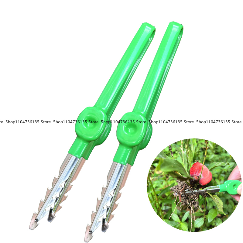 Planted Clip Tweezers - Gardening Tools, Tweezers, Stainless Steel Weeding