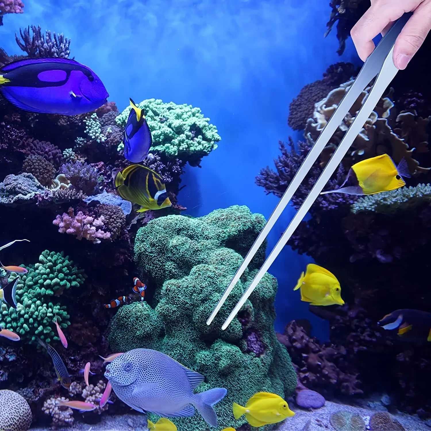38cm Stainless Steel Aquarium  - Planted Clip Tweezers 评论和价格
