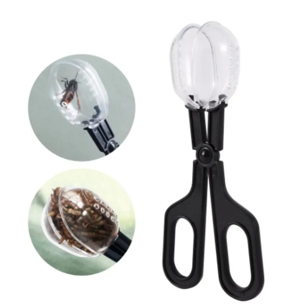 1PCS Pet Raising Feeding Tool  - Planted Clip Tweezers 评论和价格
