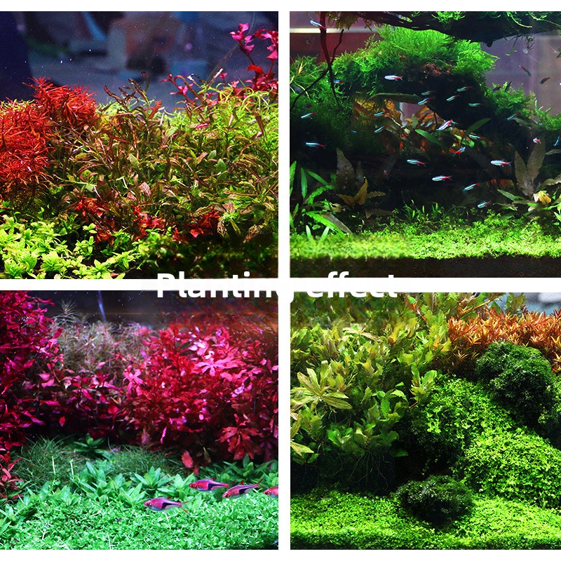 SYSENCIAGA Planted Aquarium Su - Aquarium Planted Tank Fertilizer 评论和价格