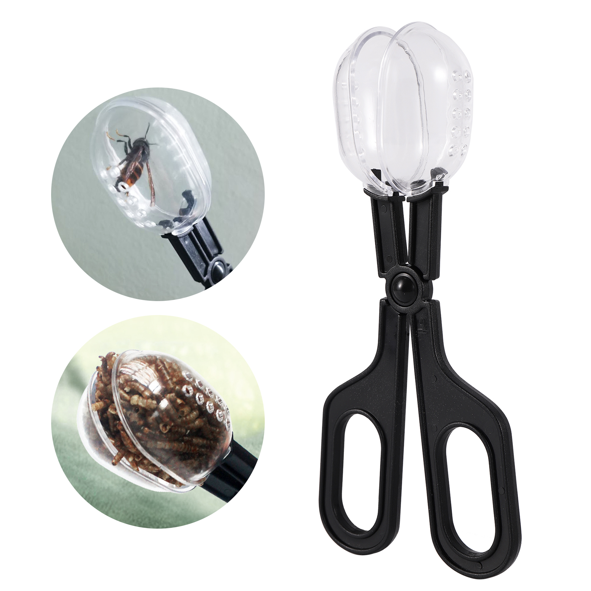 Reptile Terrarium Lizards Plas - Planted Clip Tweezers 评论和价格
