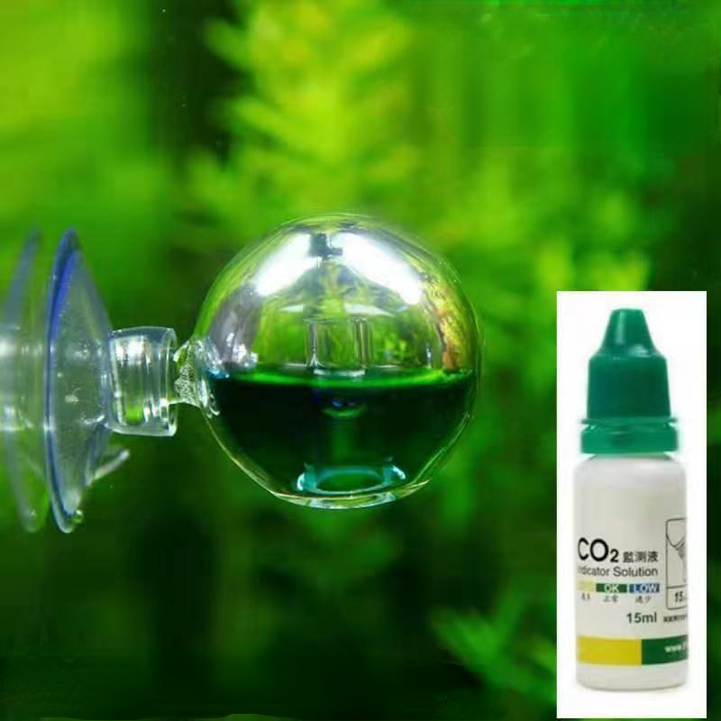 Diffuse Glass CO2 Drop Checker - Glass Co2 Drop Checker 评论和价格