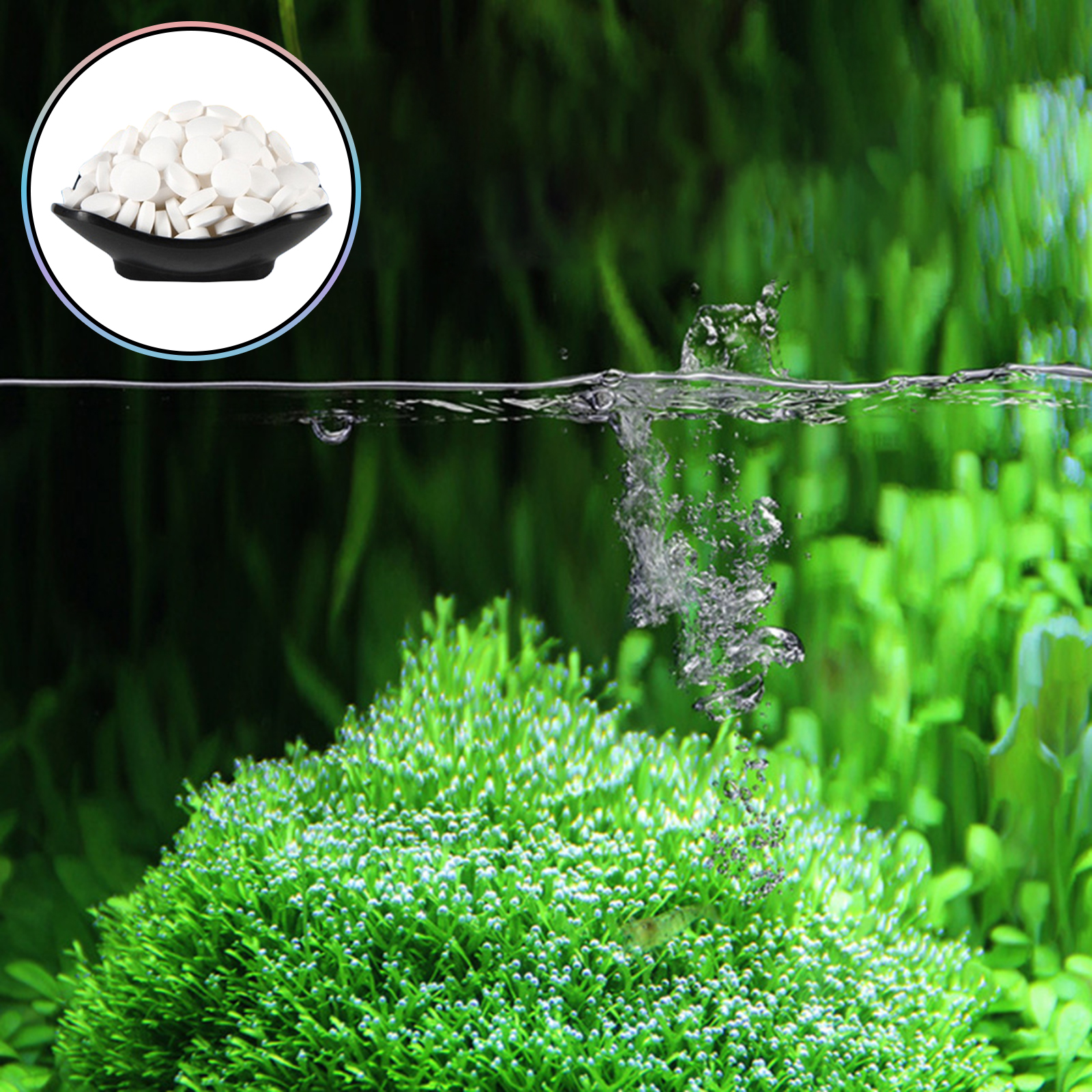 Algae Removal Tablets For Fish - Planted Aquarium Hair Algae 评论和价格