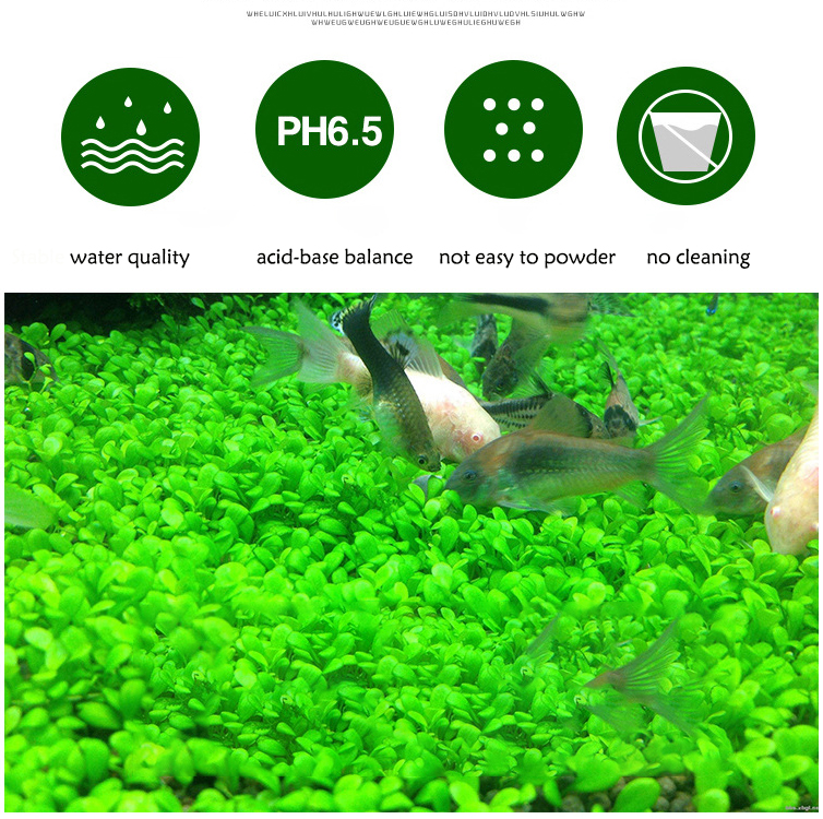 Aquarium Plant Seeds Soil Fish - Aquarium Planted Tank Fertilizer 评论和价格