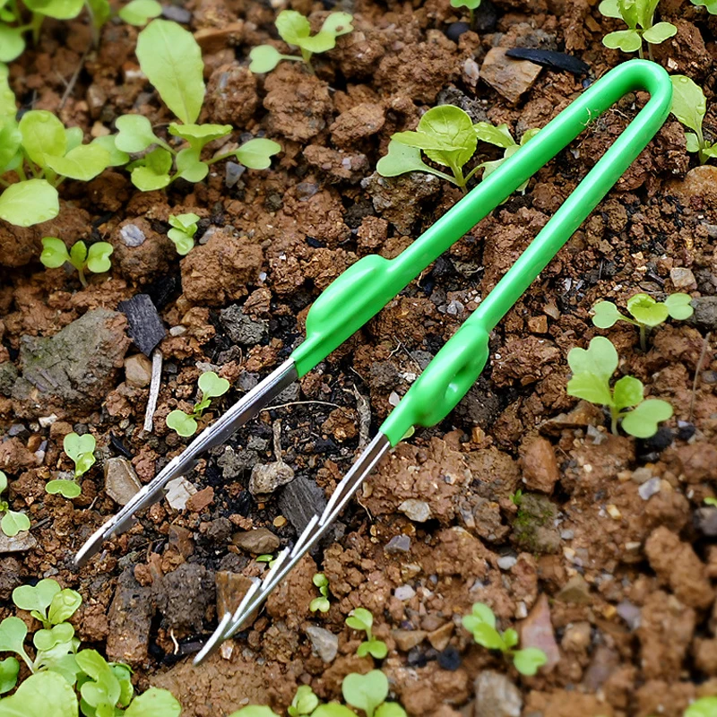 1Pc Gardening Tweezers Succule - Planted Clip Tweezers 评论和价格