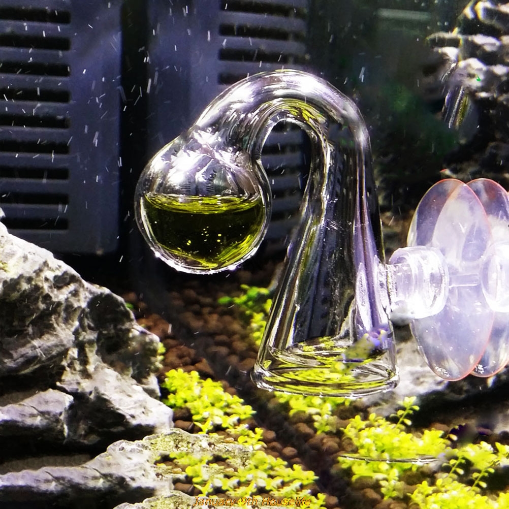 Fish Tank CO2 Diffuse Glass Dr - Glass Co2 Drop Checker 评论和价格