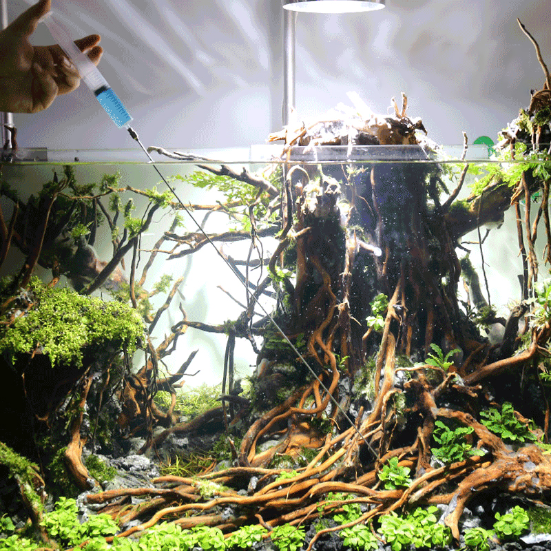 Aquarium Plants Growth Heathy  - Aquarium Planted Tank Fertilizer 评论和价格