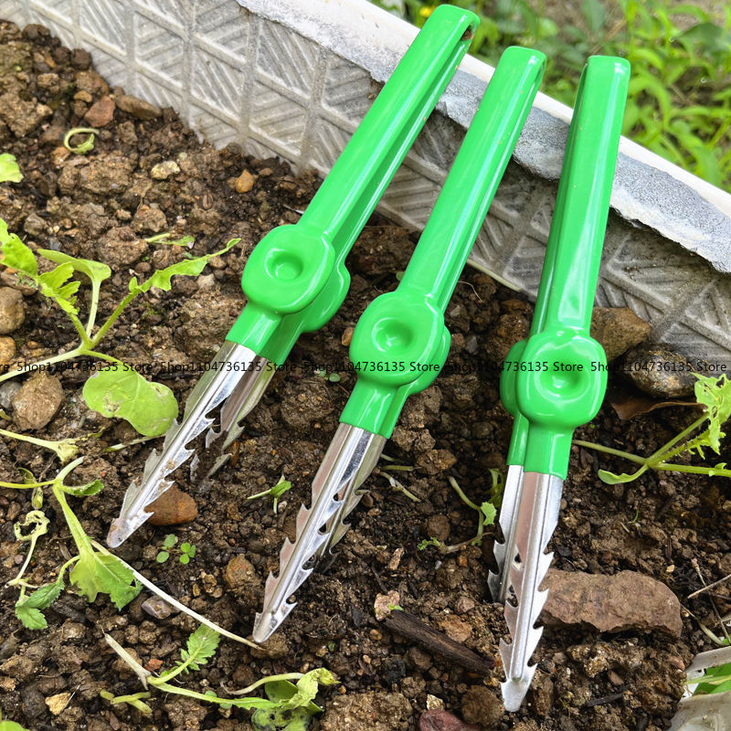Gardening Tools, Tweezers, Sta - Planted Clip Tweezers 评论和价格