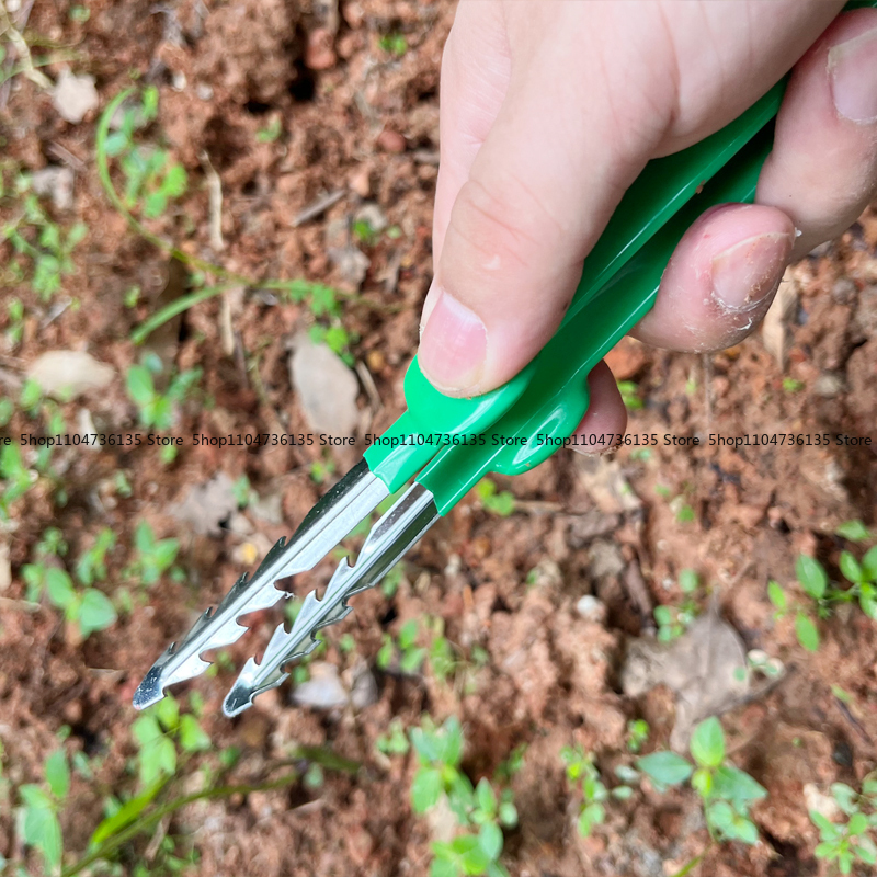 Gardening Tools, Tweezers, Sta - Planted Clip Tweezers 评论和价格